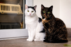 Leni und Lotti